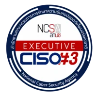 Executive CISO 3